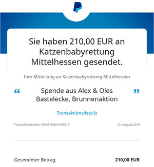 Brunnenaktion